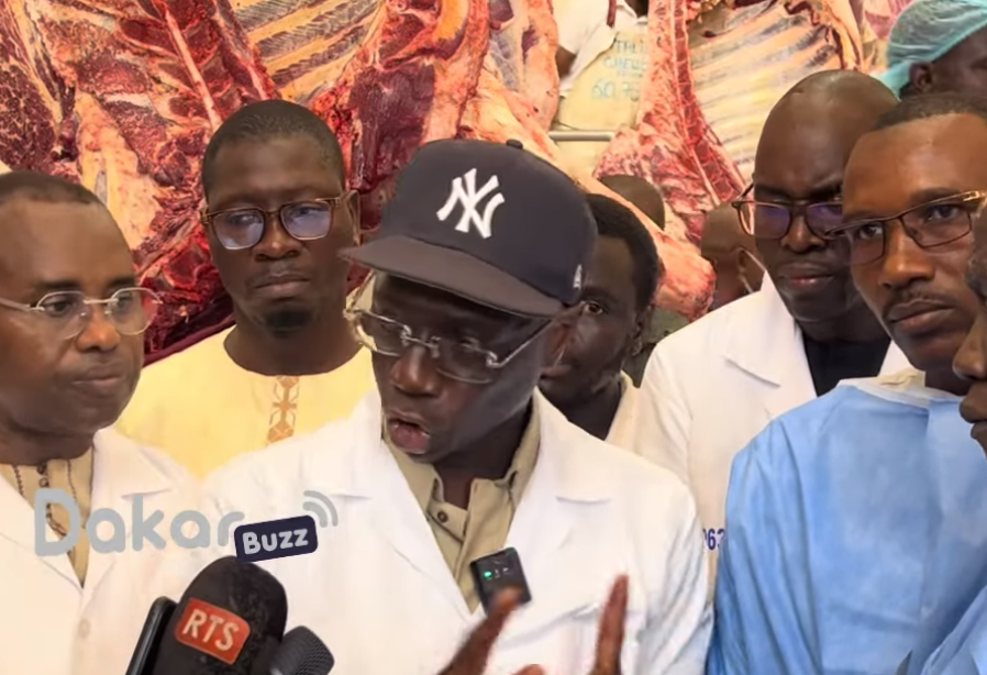 Dr Mabouba Diagne :«le pays peut atteindre facilement l’autosuffisance en viande et en mouton de Tabaski… »