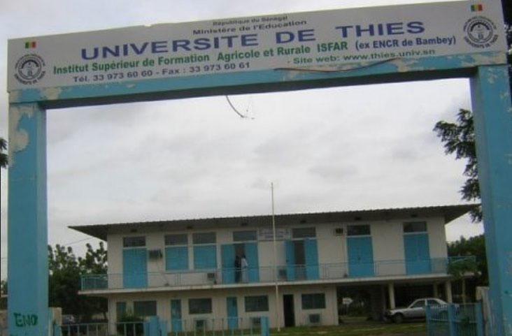 Débrayage à l’université de Thiès: L’intersyndicale dénonce la gestion du recteur