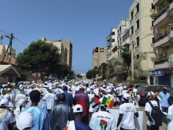(4) Photos : Des centaines de manifestants marchent à Dakar ce dimanche pour soutenir la Palestine