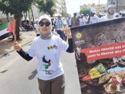 (4) Photos : Des centaines de manifestants marchent à Dakar ce dimanche pour soutenir la Palestine