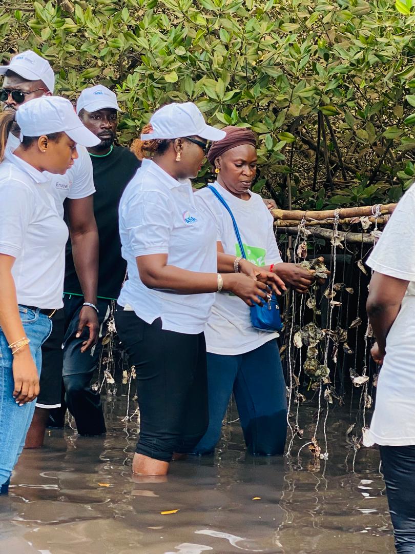 Toubacouta : Dr Tening Sène, Dg de l’ANA, a rencontré les acteurs de l’aquaculture