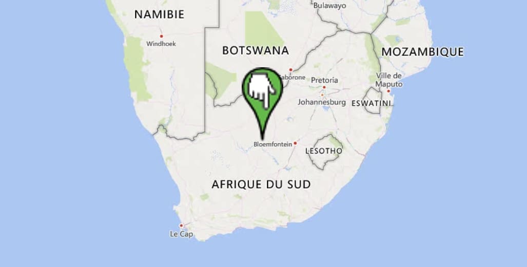 Afrique du Sud : Élections cruciales pour le Congrès national africain (ANC)