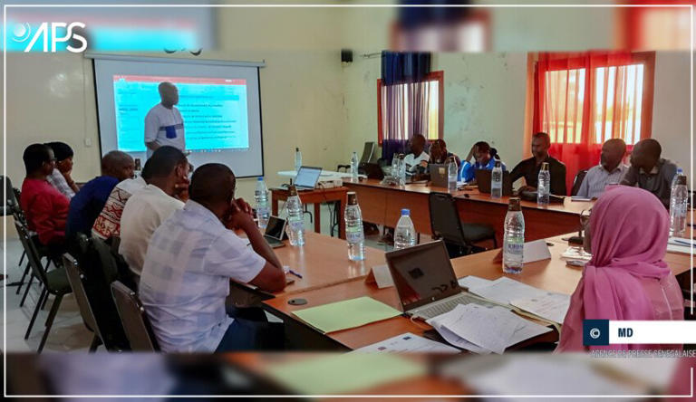 Formation sur la transparence budgétaire à Sédhiou: un effort coordonné pour une meilleure gestion des fonds publics