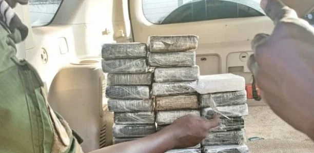 Plus de 310 kg de cocaïne saisis par la Brigade de Popenguine à Ndayane