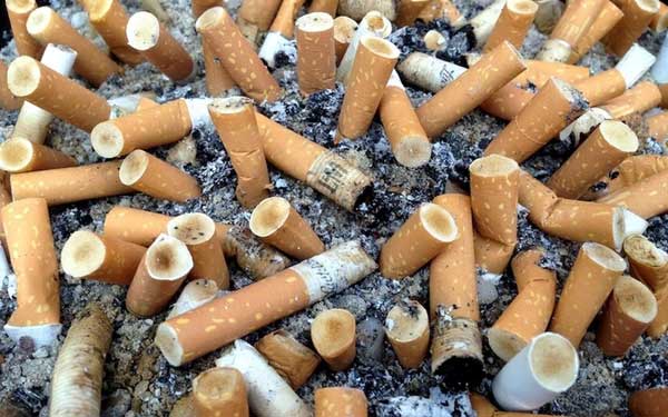 Sénégal: Mise à jour législative en vue pour renforcer la lutte contre le tabac