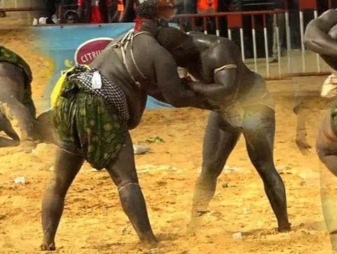 (Vidéo) Lutte: Revivez la victoire de Gris 2 sur Doomu Dangou