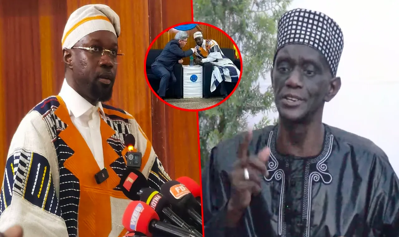 Babacar Sarr Beugue Bamba à Mame Mactar Guèye : « Tolérer ne signifie pas accepter, tolérer ne signifie pas… »