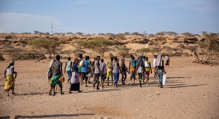 Désert du Niger : Des morts et plus de 150 Sénégalais en souffrance, HSF interpelle les autorités