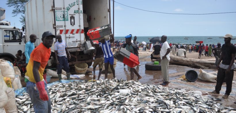 Mbao : Un camion transportant 30 tonnes de petits poissons en direction de la sous-région arrêté…
