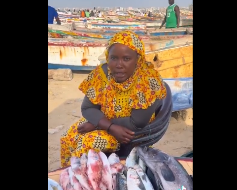 Pêche : Une vendeuse de poissons s’adresse au président Diomaye(vidéo)