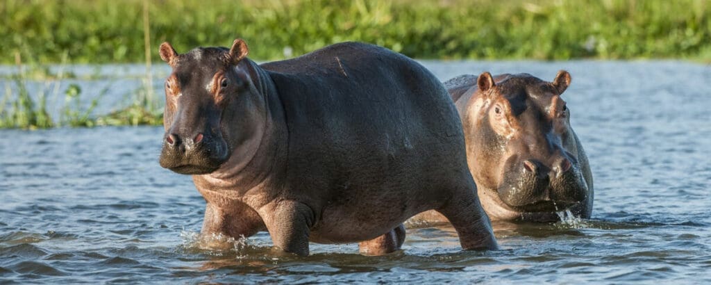 Afrique : 10,6 millions de dollars pour renforcer la résilience du bassin du Zambèze… Découvrez l’impact !