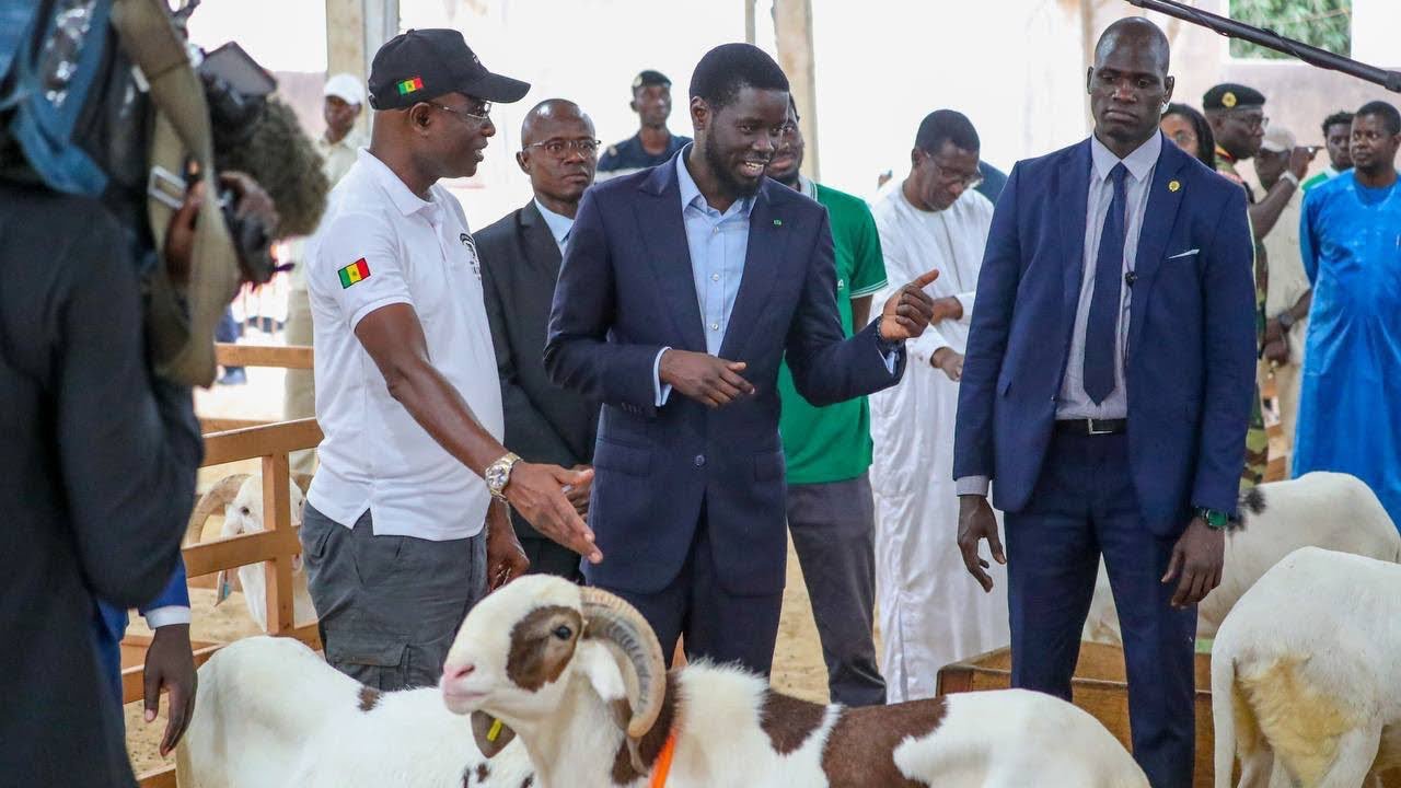 Approche du Tabaski : Bassirou Diomaye Faye encourage la consommation locale et l’artisanat sénégalais