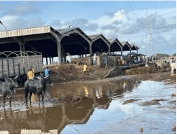 Côte d’Ivoire : opération de déguerpissement et réinstallation à Port-Bouët