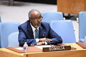Éthiopie-Somalie : Tensions croissantes et troupes massives… Enjeux pour la région
