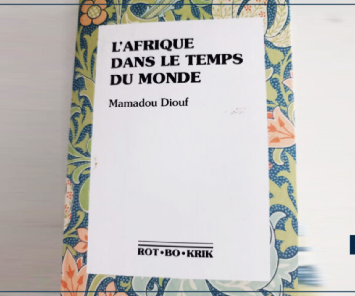 L’Afrique dépossédée : une étude unique sur l’histoire et la modernité