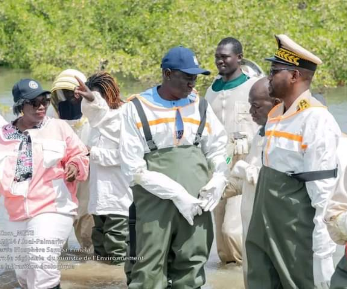 La visite du ministre de l’Environnement à l’aire marine protégée de Joal-Fadiouth