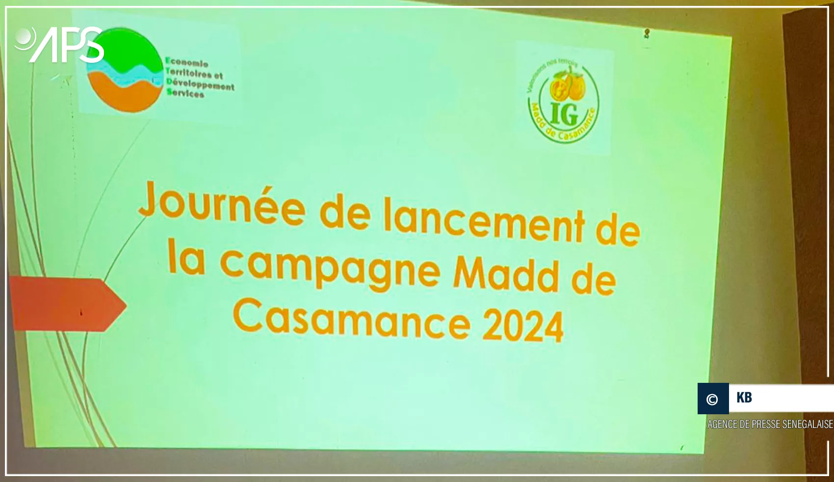 Lancement de la campagne de commercialisation du madd en Casamance