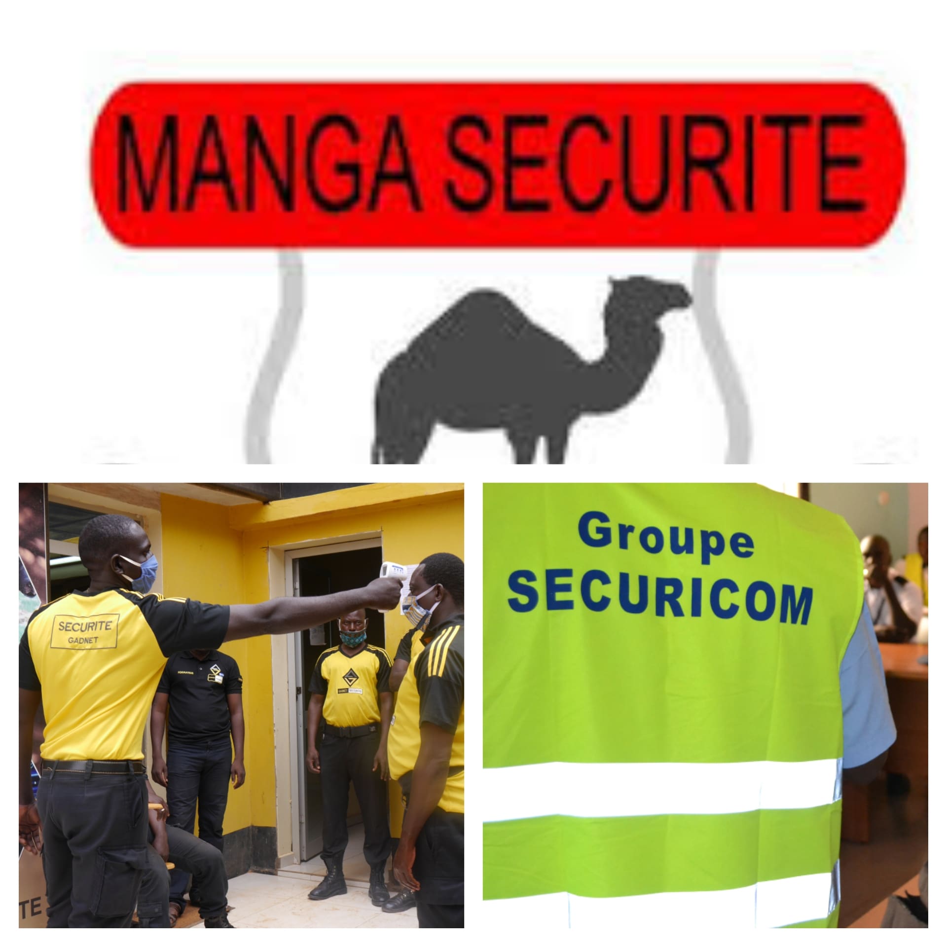 Niger : Retrait des autorisations de sociétés privées de sécurité pour renforcer la sécurité publique