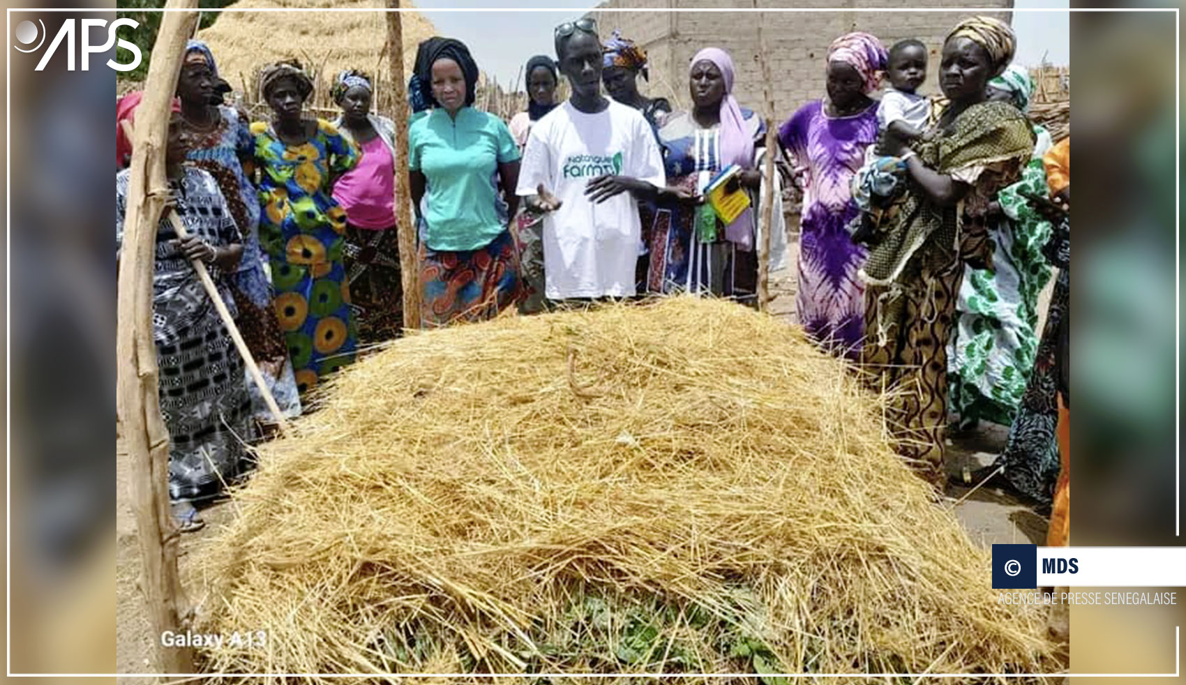 Photo: 300 Femmes de Kaffrine Formées aux Bonnes Pratiques Agricoles