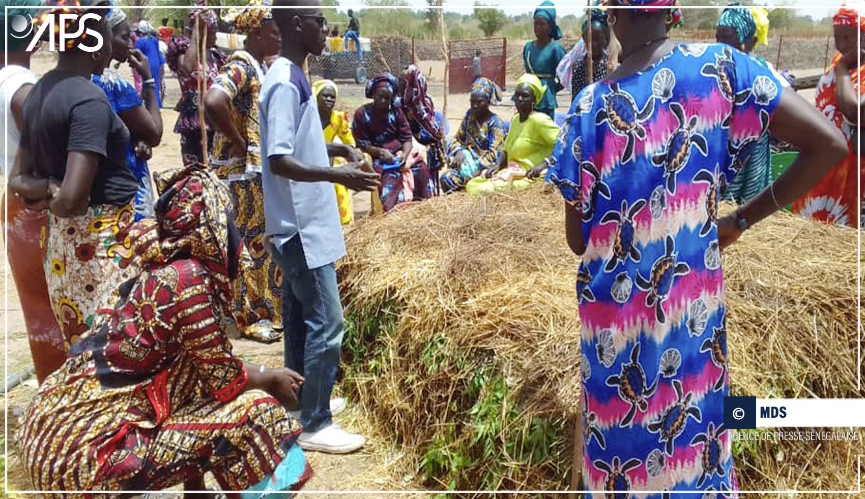 Photo: 300 Femmes de Kaffrine Formées aux Bonnes Pratiques Agricoles