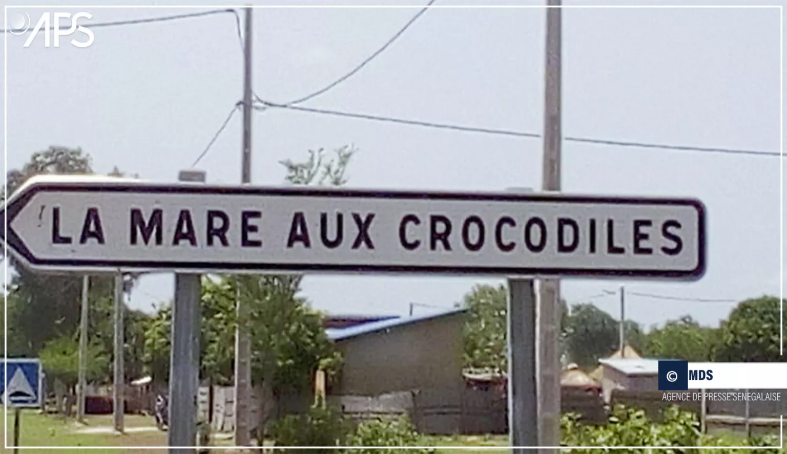 Sinthiang Coumambouré : Les habitants lancent un appel urgent à sécuriser la mare aux crocodiles