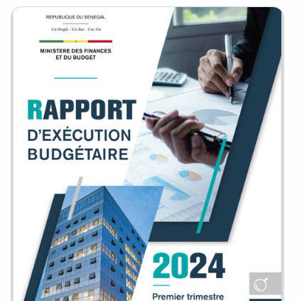 Exécution du Budget : « Supprimer/Rationaliser toutes les agences bidon », Dr Lansana Gagny Sakho