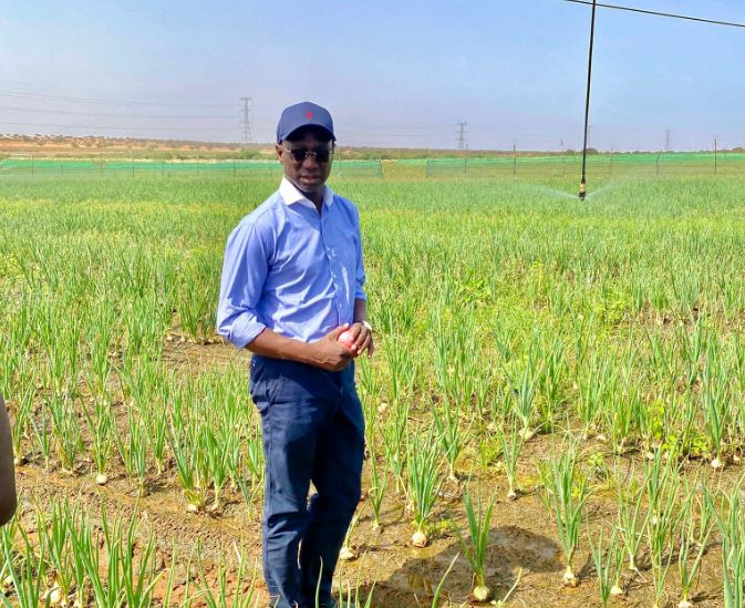 Visite de terrain : Le ministre de l’Agriculture, Mabouba Diagne, en tournée dans la vallée du fleuve Sénégal (Vidéo)