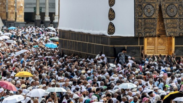 Arabie Saoudite : Près de 600 pèlerins dont 300 Egyptiens meurent pendant le hajj 2024