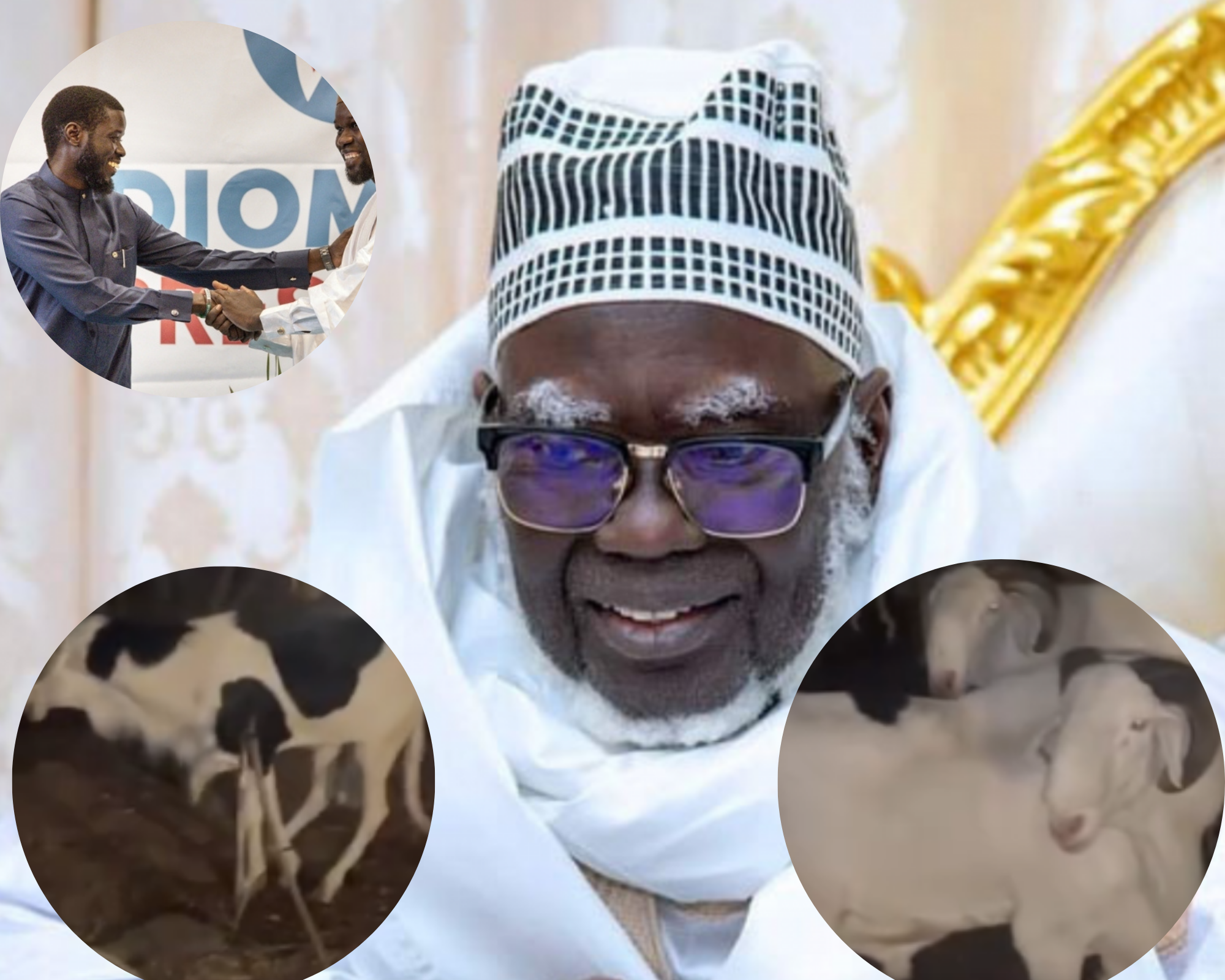 Tabaski : Le Khalife Général des Mourides offre des moutons à Sonko et Diomaye (Vidéo)