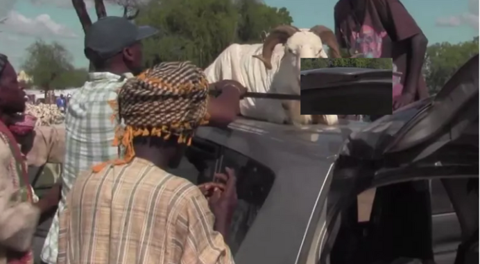 Podor : Des hommes encagoulés à bord d’un 4×4 attaquent la voiture des vendeurs de moutons…