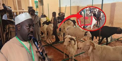 (Vidéo) Tivaouane : La famille de Serigne Babacar Sy distribuent près de 500 moutons aux …