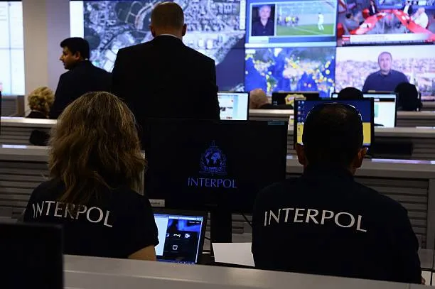 Afrique : Interpol démantèle un vaste réseau criminel avec 300 arrestations