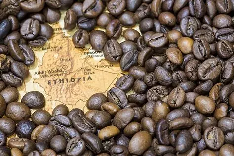 Éthiopie : Hausse spectaculaire des exportations de café… Découvrez les chiffres impressionnants !