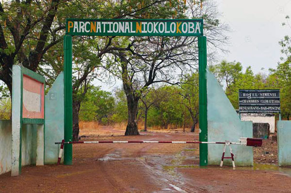 Le Parc National du Niokolo-Koba retire de la Liste en Péril : Une victoire pour la conservation