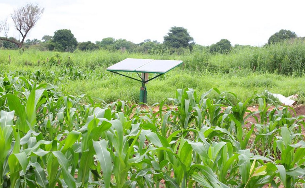 Lenteur préoccupante du Programme des Domaines Agricoles Communautaires au Sénégal