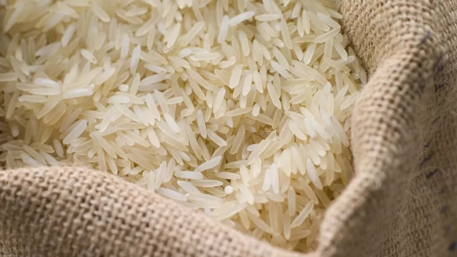 Nigeria : Mesure d’importation en franchise pour lutter contre l’inflation