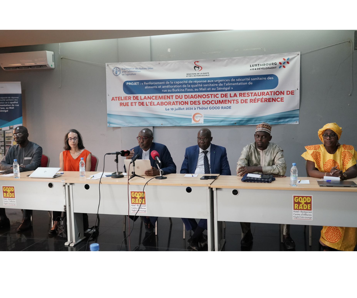 Photo : Vers une Amélioration Cruciale de la Sécurité Sanitaire de l’Alimentation de Rue au Sénégal