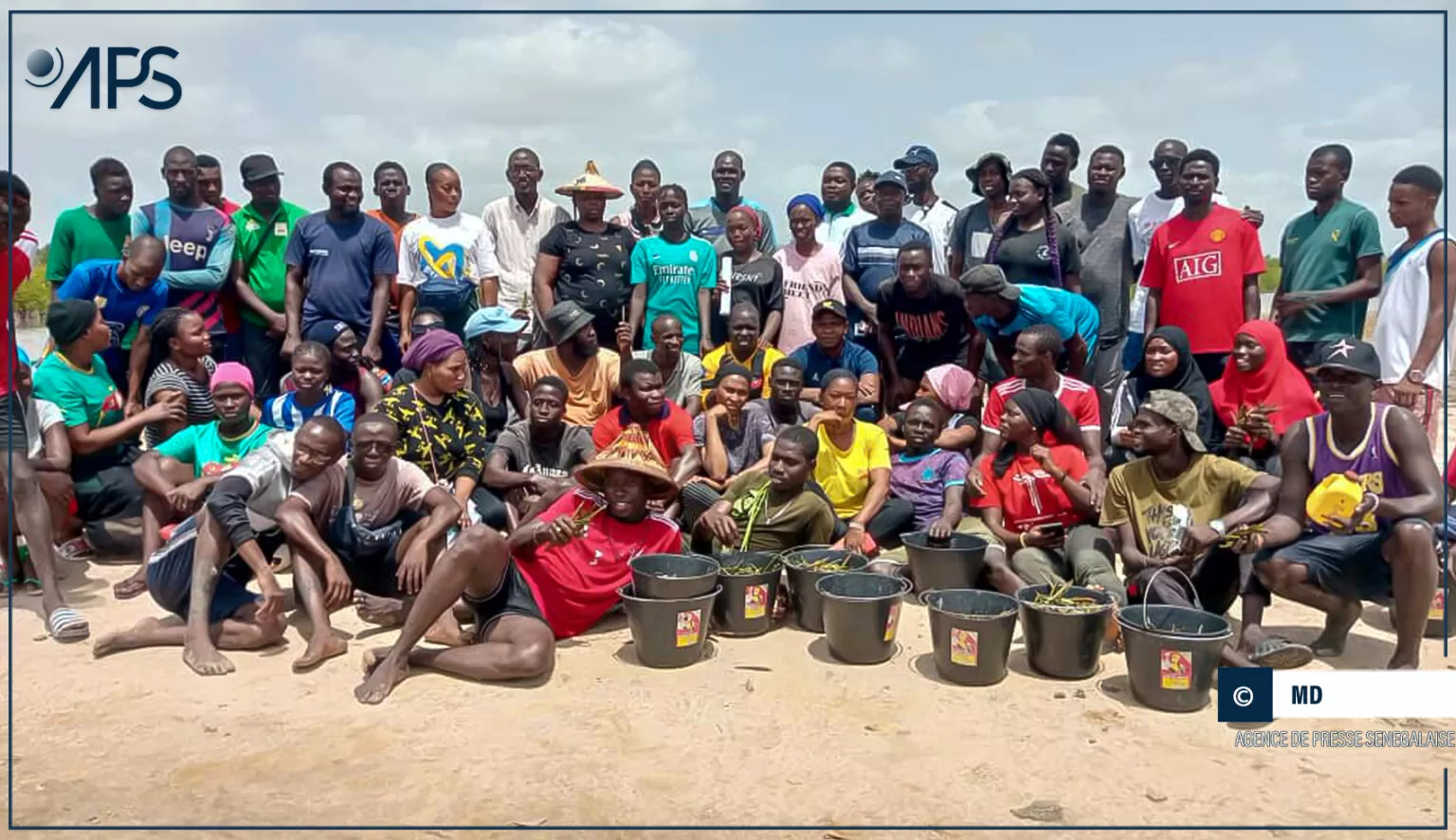 Thiobon engage une restauration massive de la mangrove : Plus de vingt-huit hectares à régénérer