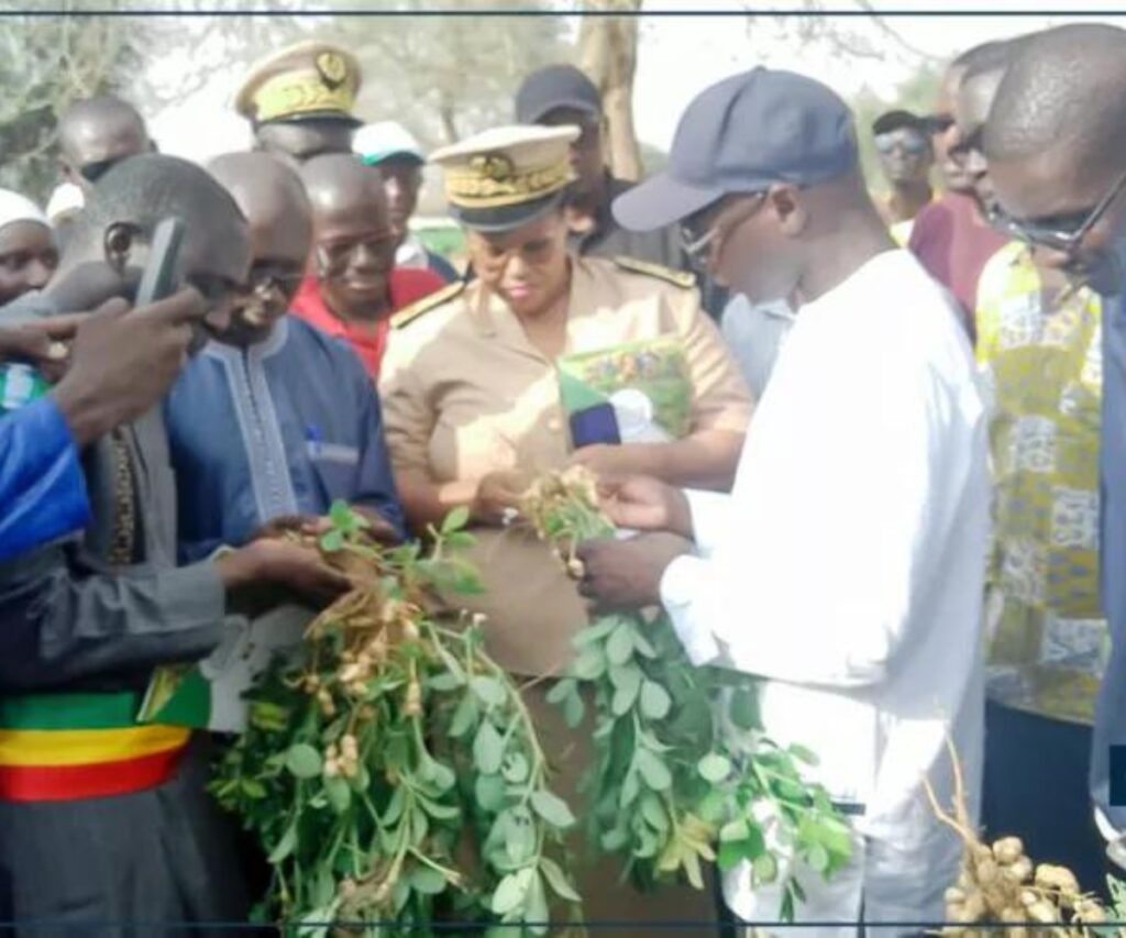 Une Ferme Moderne au Centre du Sénégal Prête à Transformer l ...