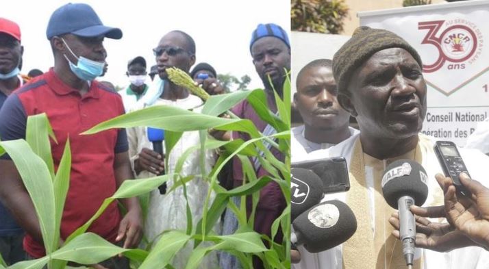 Distribution des semences et engrais à Kaolack : Le CNCR décerne un satisfecit à Diomaye et Sonko