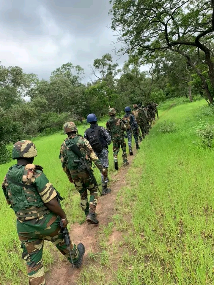 Sécurisation au Niokolo Koba : Armées, Gendarmerie et parcs nationaux en action …