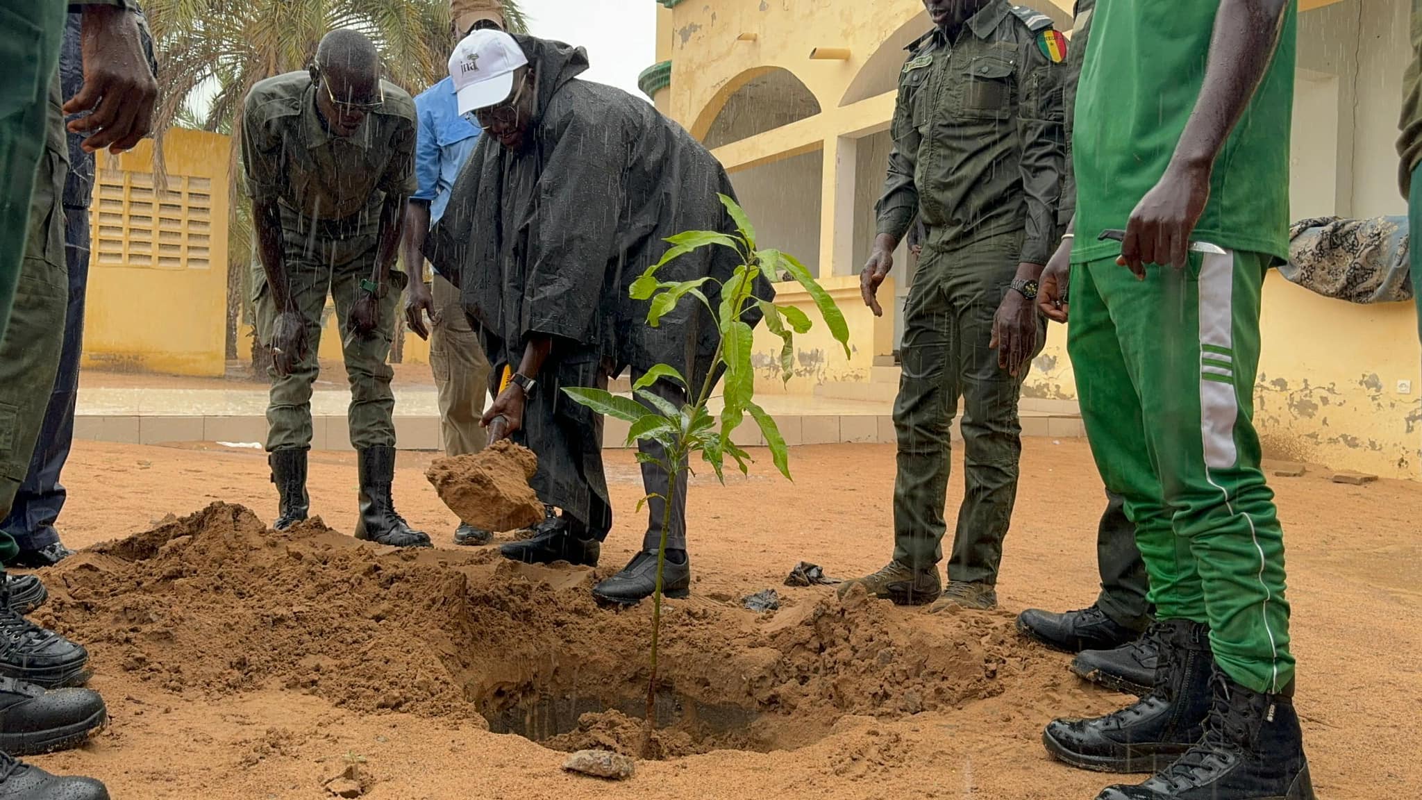 Ndiagne : Le Ministre El Malick Ndiaye célèbre la journée nationale de l’arbre sous une pluie battante