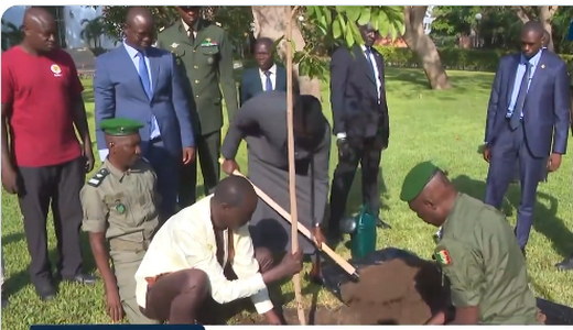 Campagne nationale de reboisement: « Touba va dérouler le tapis rouge au Président Diomaye Faye et va l’accueillir chaleureusement »