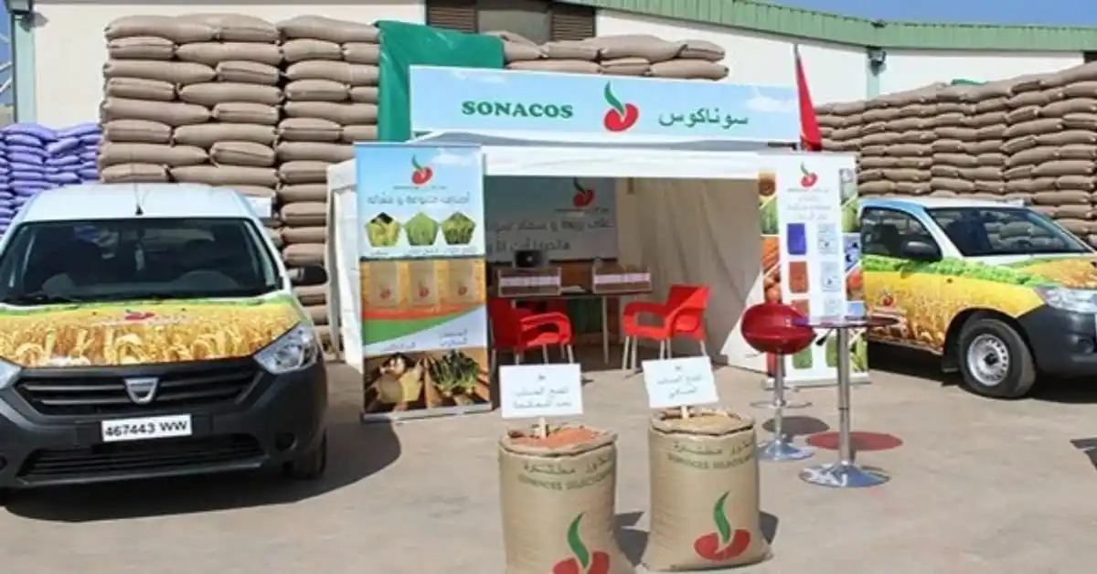 La SONACOS annonce 7 000 emplois pour la prochaine campagne de graines d’arachide