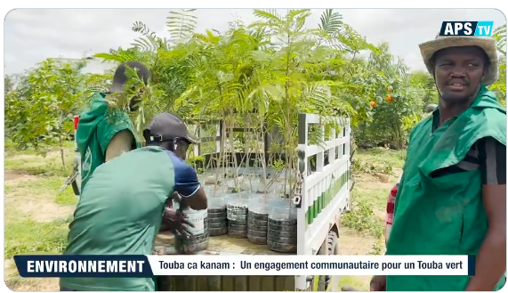 Journée Nationale De l’Arbre : Découvrez le rôle prépondérant de Touba Ca Kanam