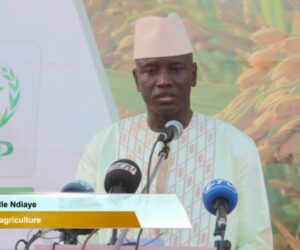 Le Parti d’Aly Ngouille Ndiaye renonce aux législatives de 2024