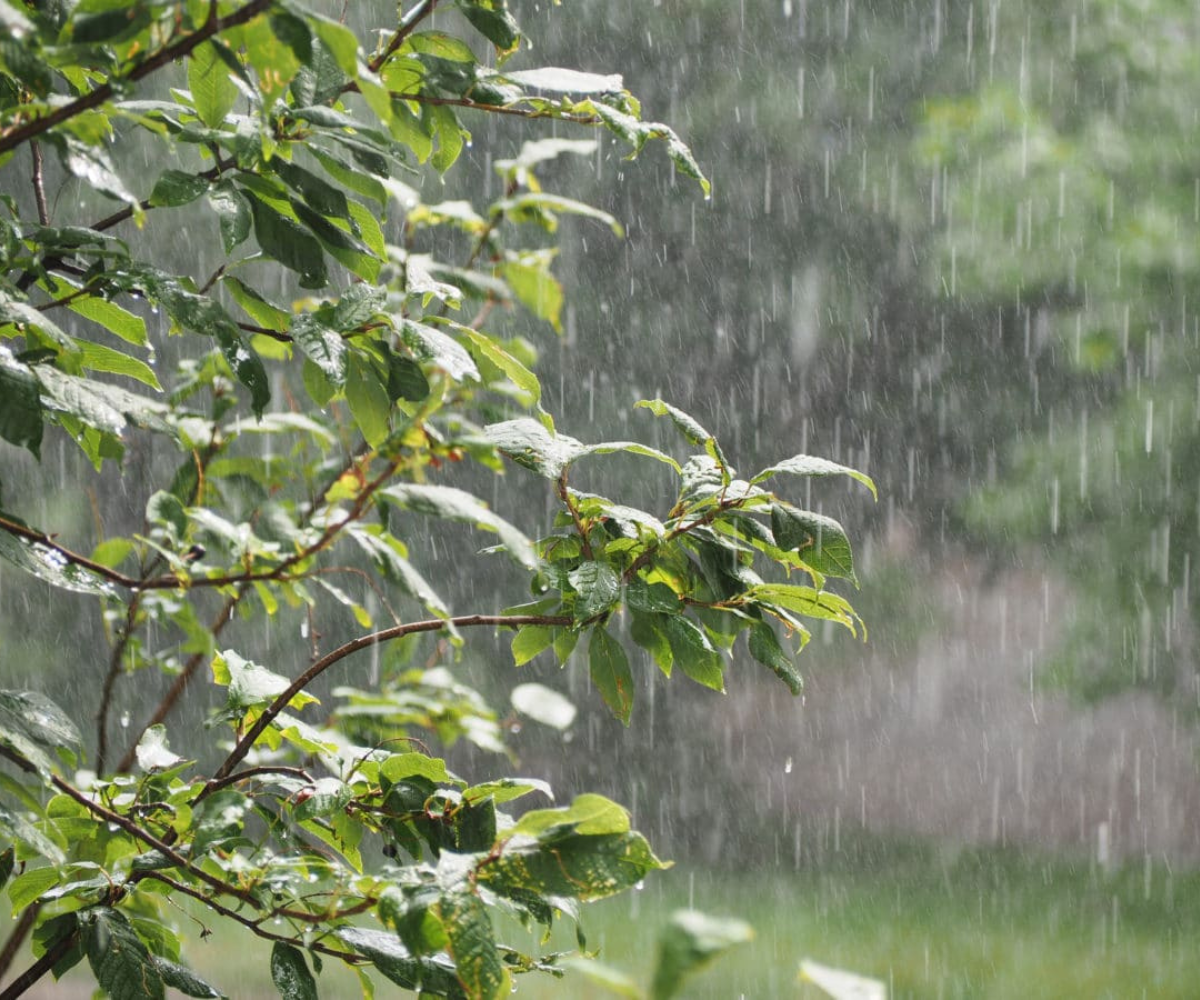 Météo ANACIM : Des orages et pluies modérées attendues sur plusieurs régions …