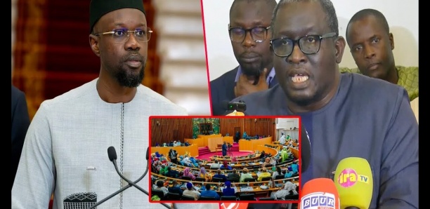 La Matinale Senego : Ayib Daffé, Amadou Ba et Alioune Dione en première ligne des débats