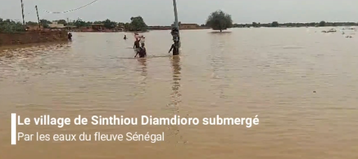 Débordement du fleuve Sénégal: Le village de Sinthiou Diamdioro envahi par les eaux (vidéo)