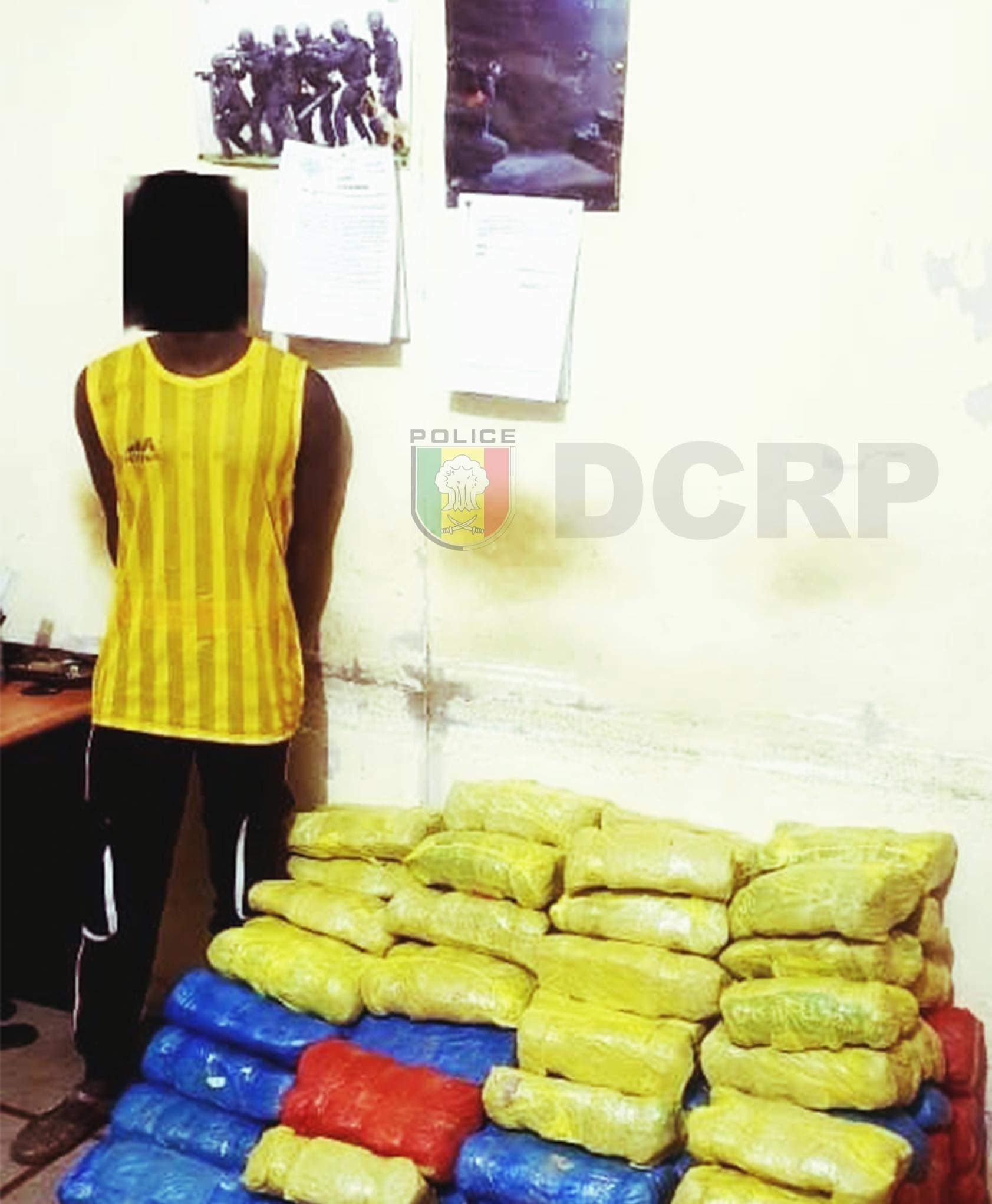 Kaolack: Un dealer arrêté avec 100 kg de chanvre indien (Photos)